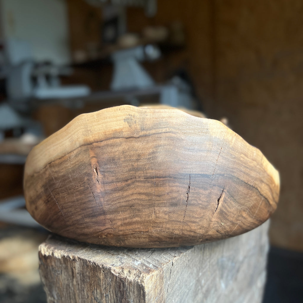 Giant Walnut